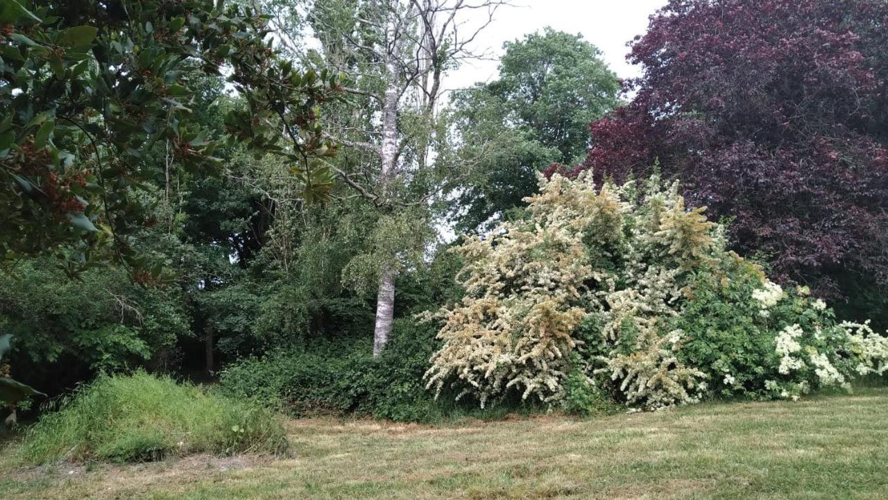Chambre A La Ferme Saint-Martin-des-Champs  外观 照片